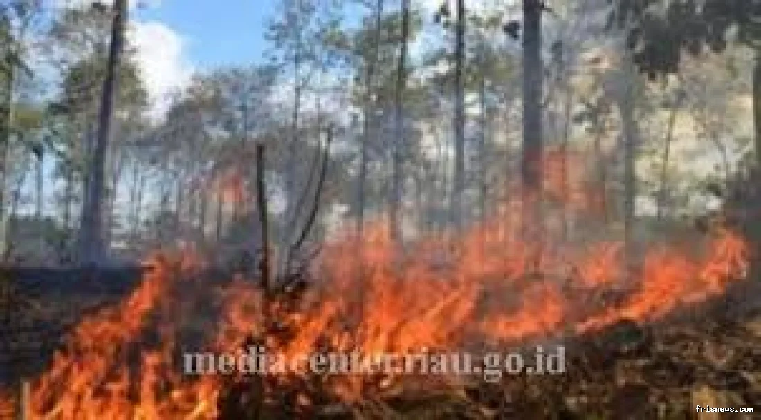 Plt Gubernur Riau minta daerah siaga karhutla 