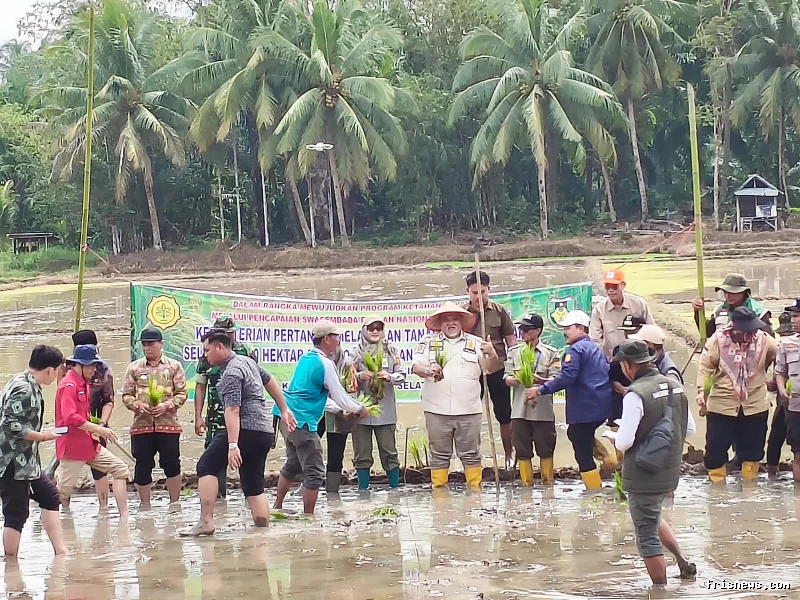 Optimalisasi lahan di Provinsi Bengkulu seluas 12.163 ha tersebar di 9 kabupaten 
