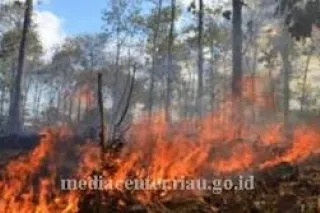 Plt Gubernur Riau minta daerah siaga karhutla 