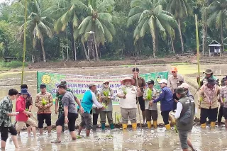 Optimalisasi lahan di Provinsi Bengkulu seluas 12.163 ha tersebar di 9 kabupaten 