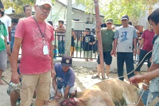 Warga Sopo Inanta gelar penyembelihan hewan kurban usai shalat Idul Adha 